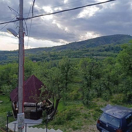 Casuta Din Livada Villa Moisei Buitenkant foto