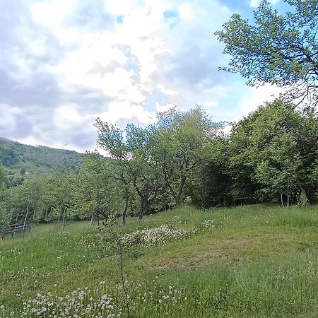 Casuta Din Livada Villa Moisei Buitenkant foto