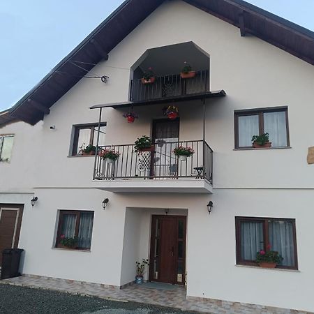 Casuta Din Livada Villa Moisei Buitenkant foto