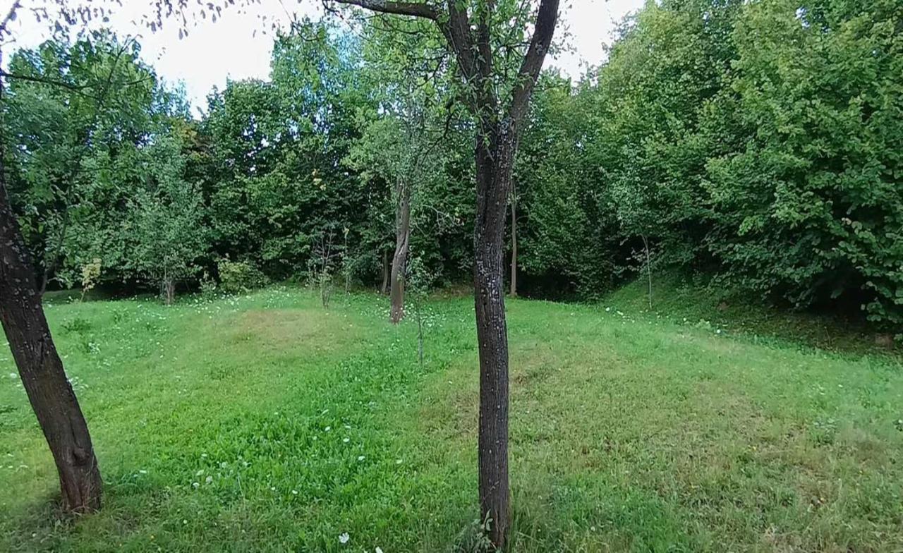 Casuta Din Livada Villa Moisei Buitenkant foto