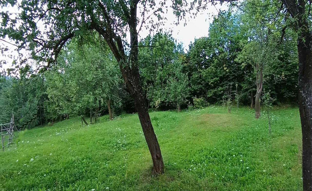 Casuta Din Livada Villa Moisei Buitenkant foto