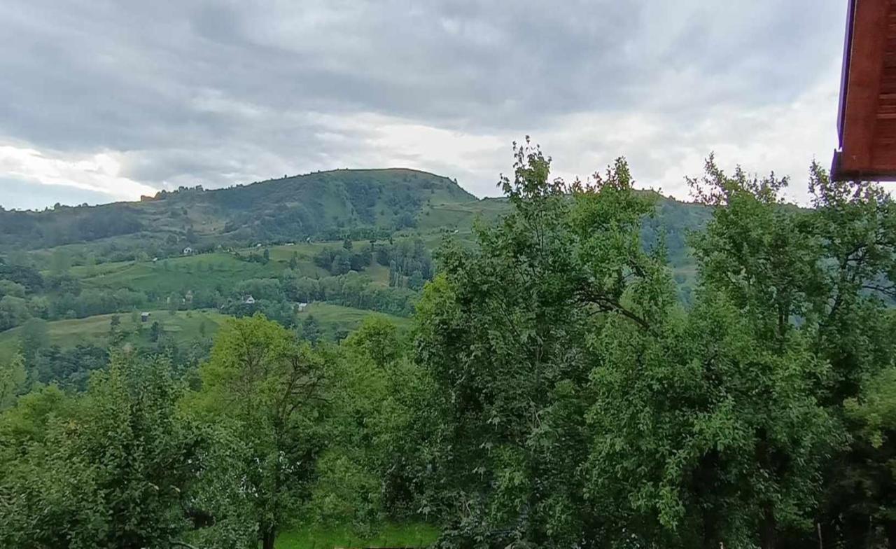 Casuta Din Livada Villa Moisei Buitenkant foto