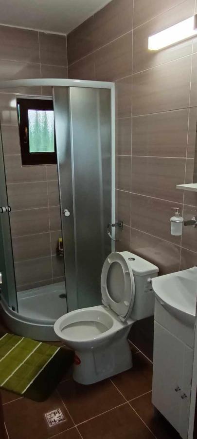 Casuta Din Livada Villa Moisei Buitenkant foto