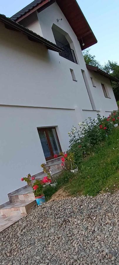 Casuta Din Livada Villa Moisei Buitenkant foto