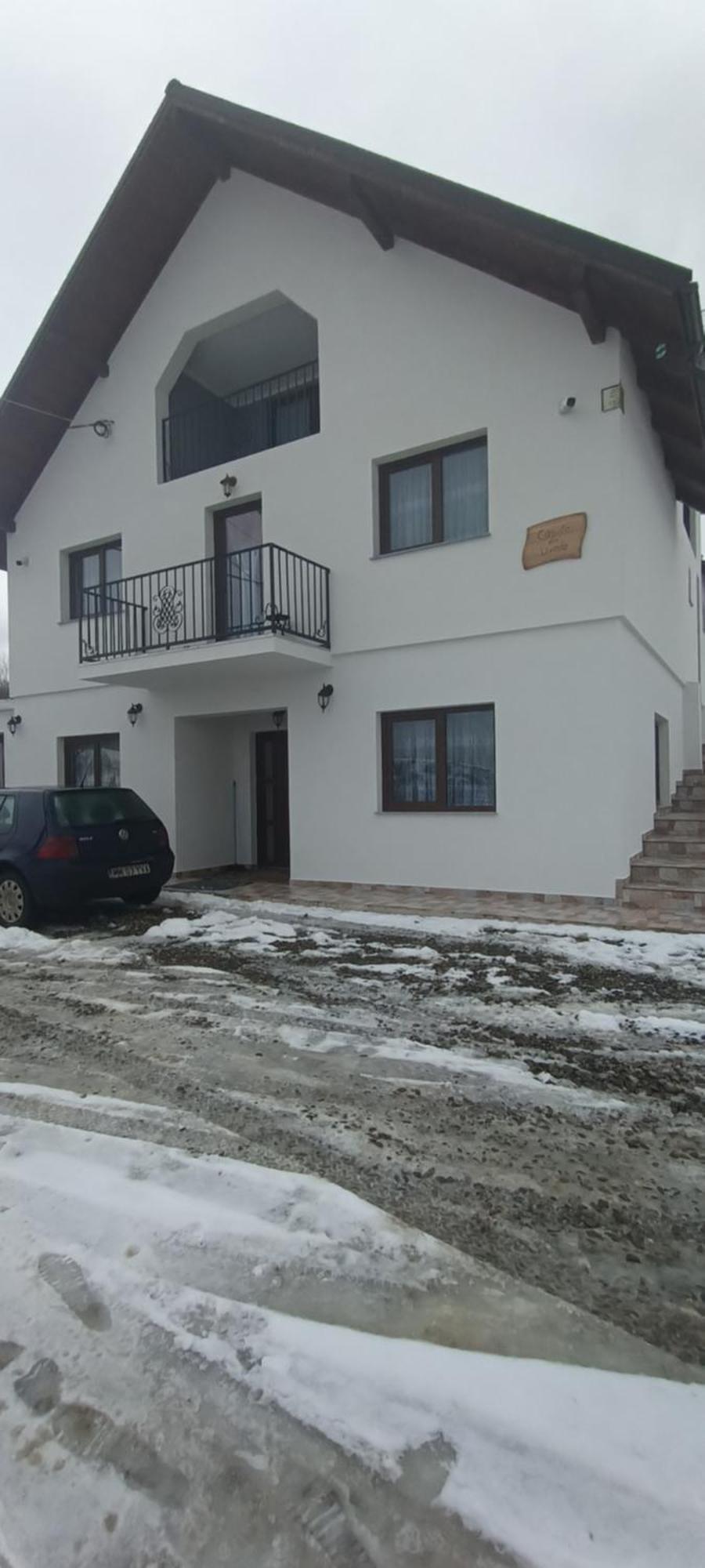Casuta Din Livada Villa Moisei Buitenkant foto