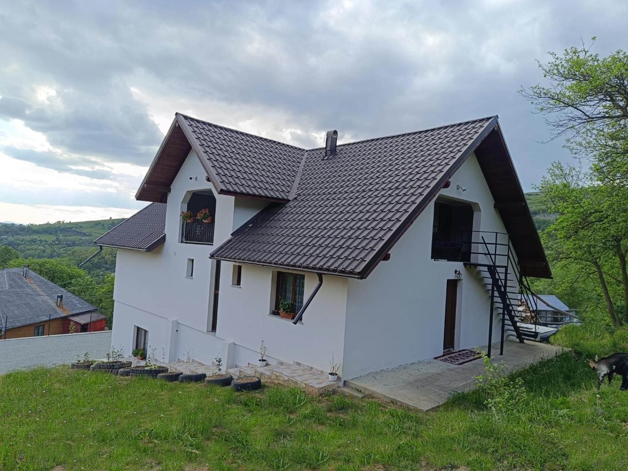 Casuta Din Livada Villa Moisei Buitenkant foto