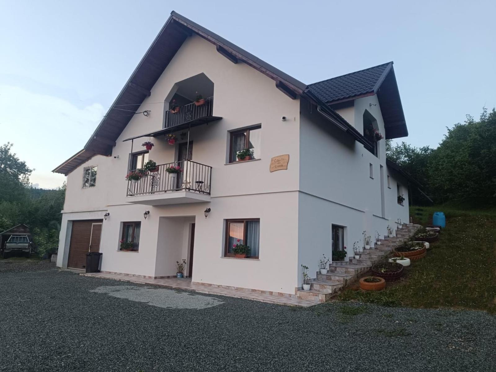 Casuta Din Livada Villa Moisei Buitenkant foto